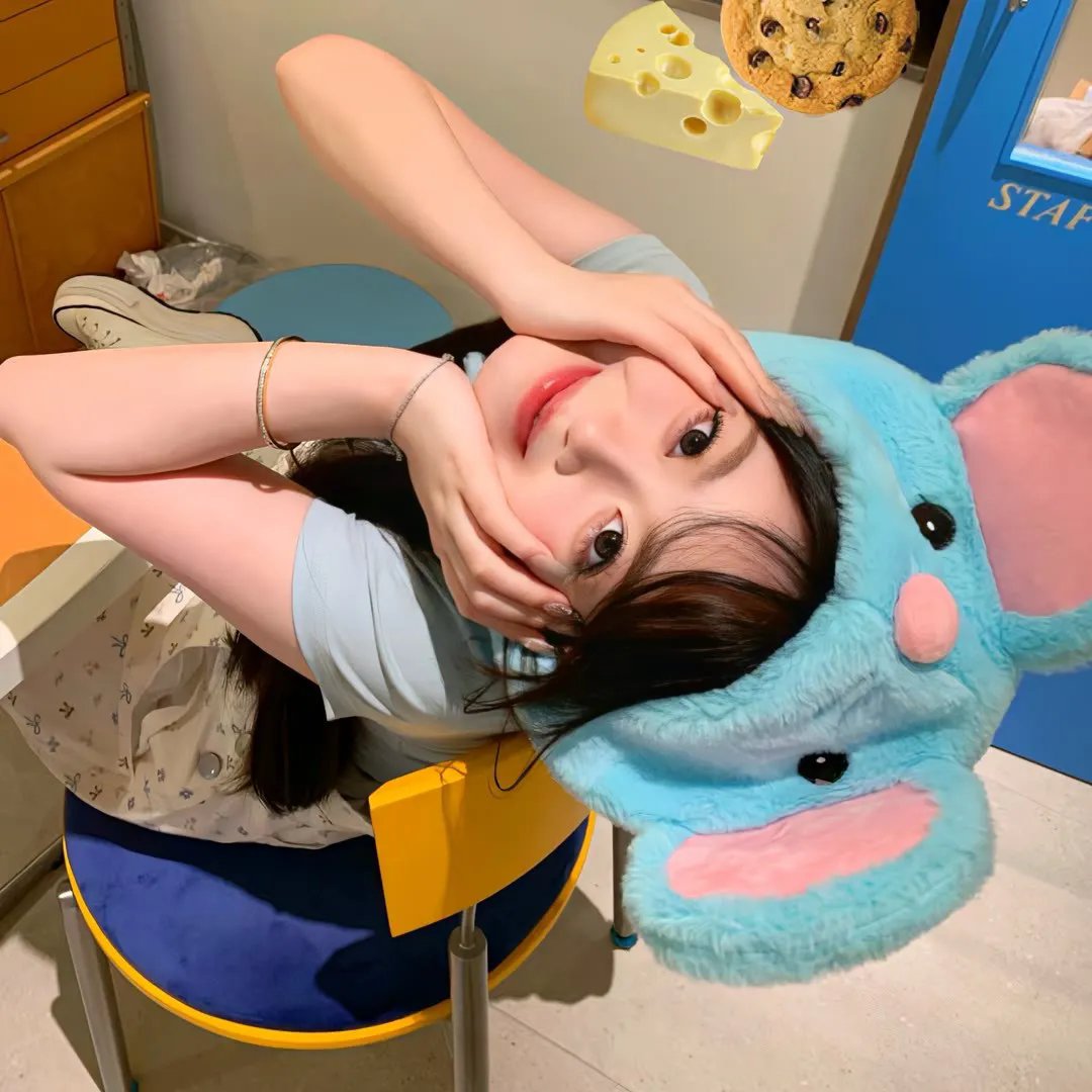 玫瑰人生国语